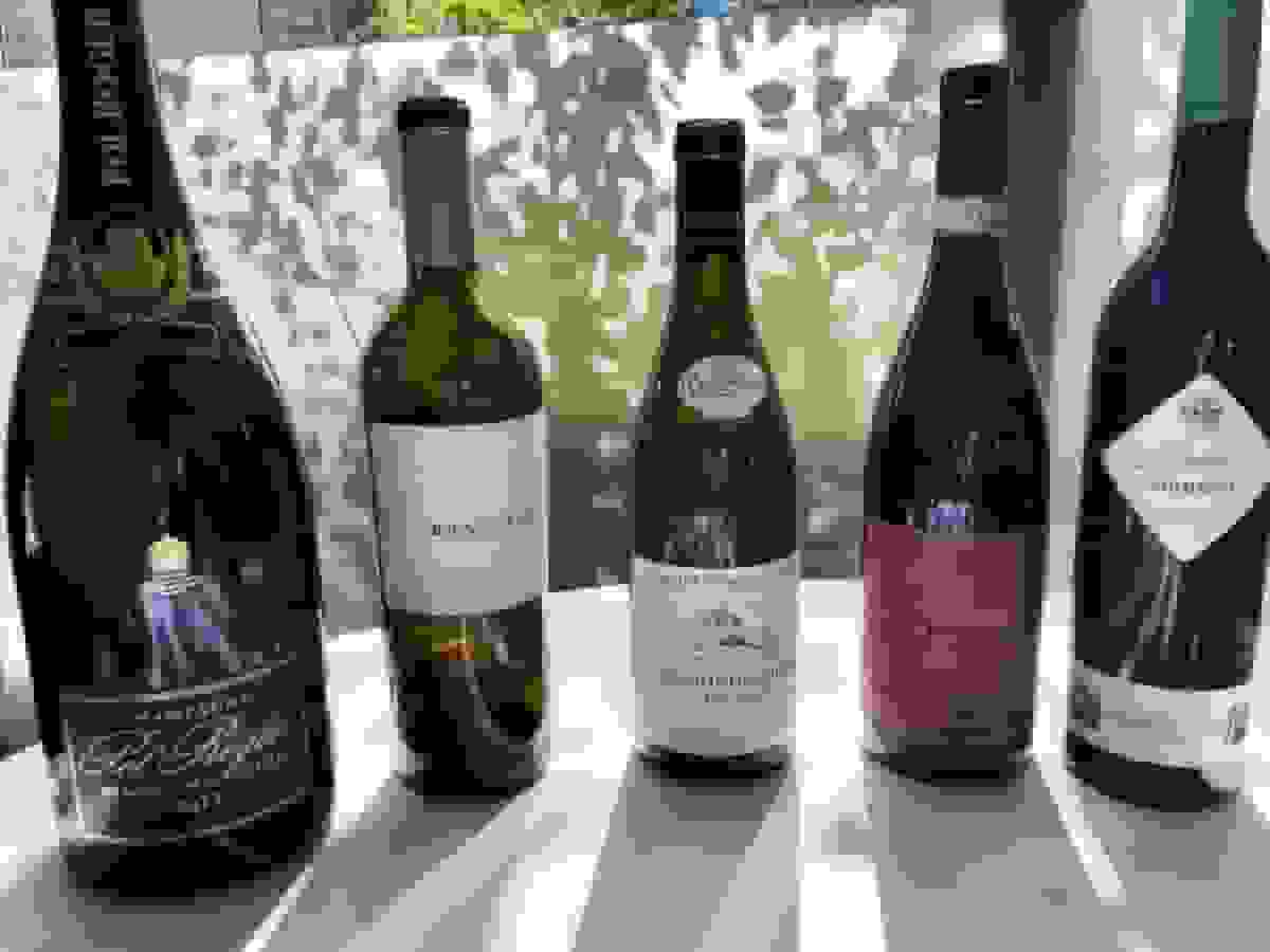 آیا می‌خواهید یک منتقد شراب شوید؟