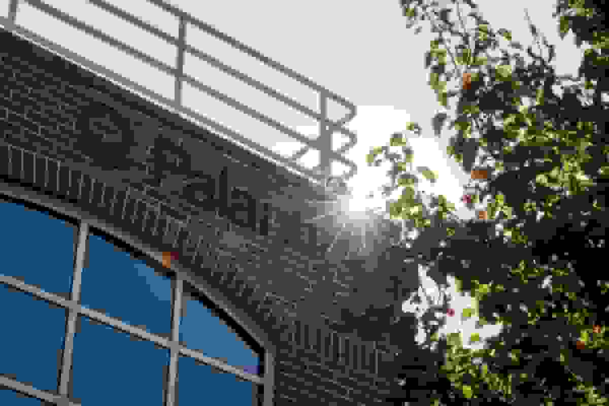 پالنتر گزارش درآمد سه‌ماهه رکوردی و افزایش پیش‌بینی‌ها