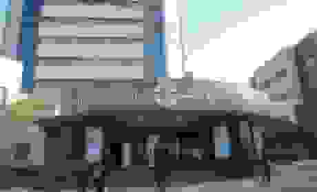 غیبت سازمان حفاظت محیط زیست در تصمیم‌گیری‌های زیست محیطی