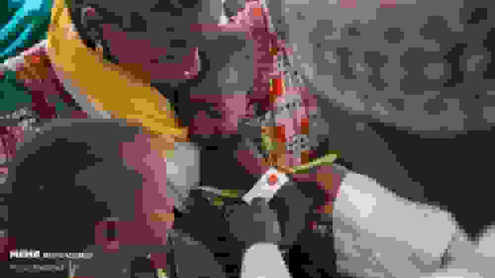 تعداد تلفات ناشی از شیوع تب لاسا در نیجریه به ۱۶۶ نفر رسید