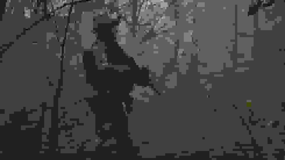 زِلِنْسْکی خواستار آتش‌بس در خطوط جبهه فعلی شد