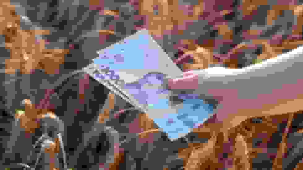 صندوق بین‌المللی پول کیف را تحت فشار قرار می‌دهد تا ارز خود را تضعیف کند