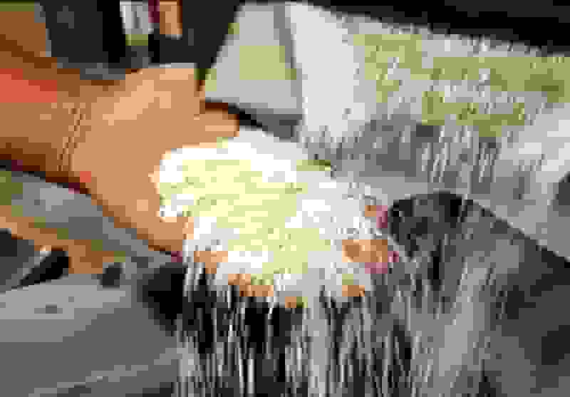 کشف ۲۲ تن برنج تقلبی در خرامه؛ سلامت مردم خط قرمز تعزیرات