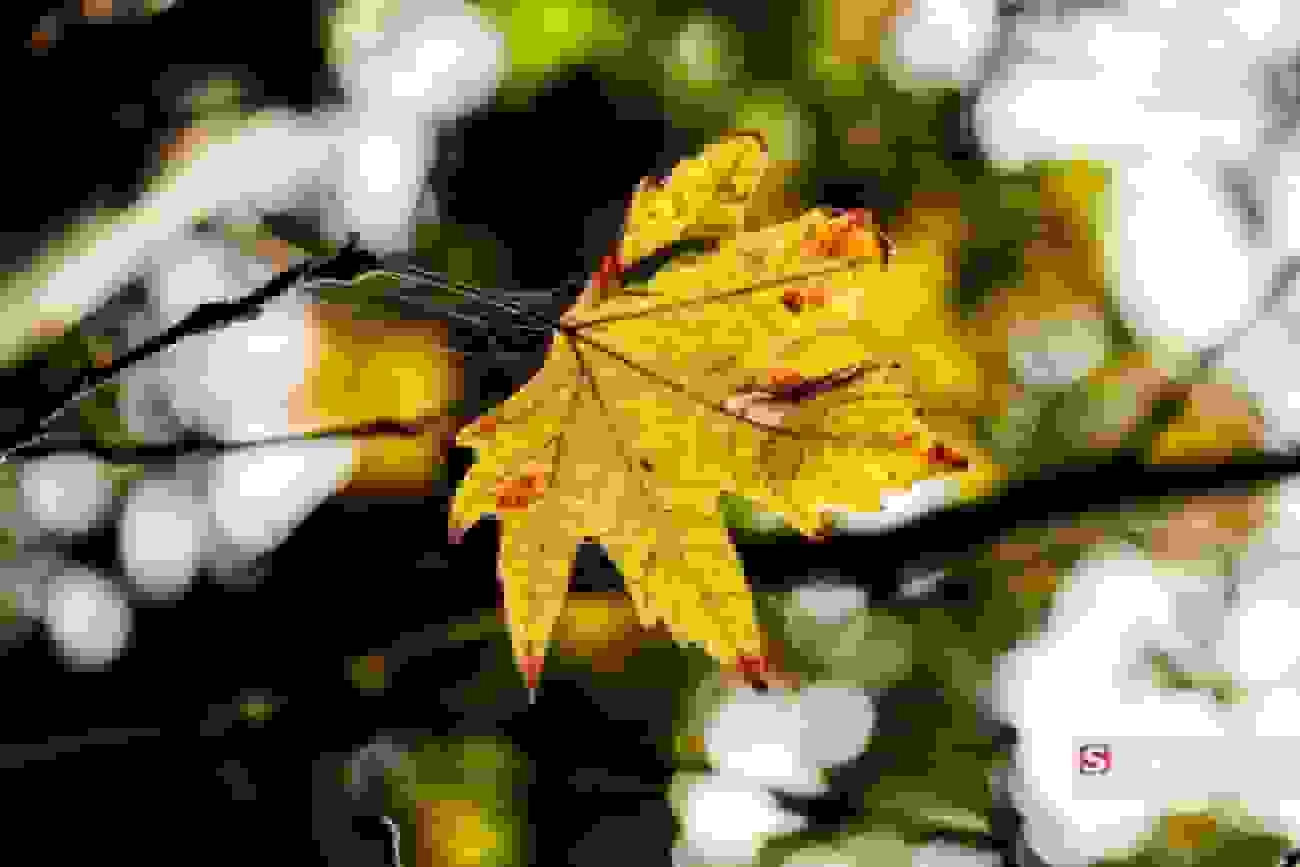 تهران سرد می‌شود