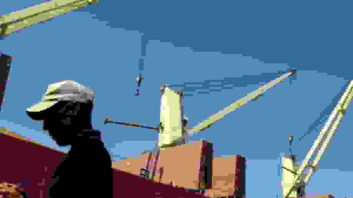 تخصیص ارز واردات کالاهای اساسی بر اساس نظر وزارت جهاد کشاورزی