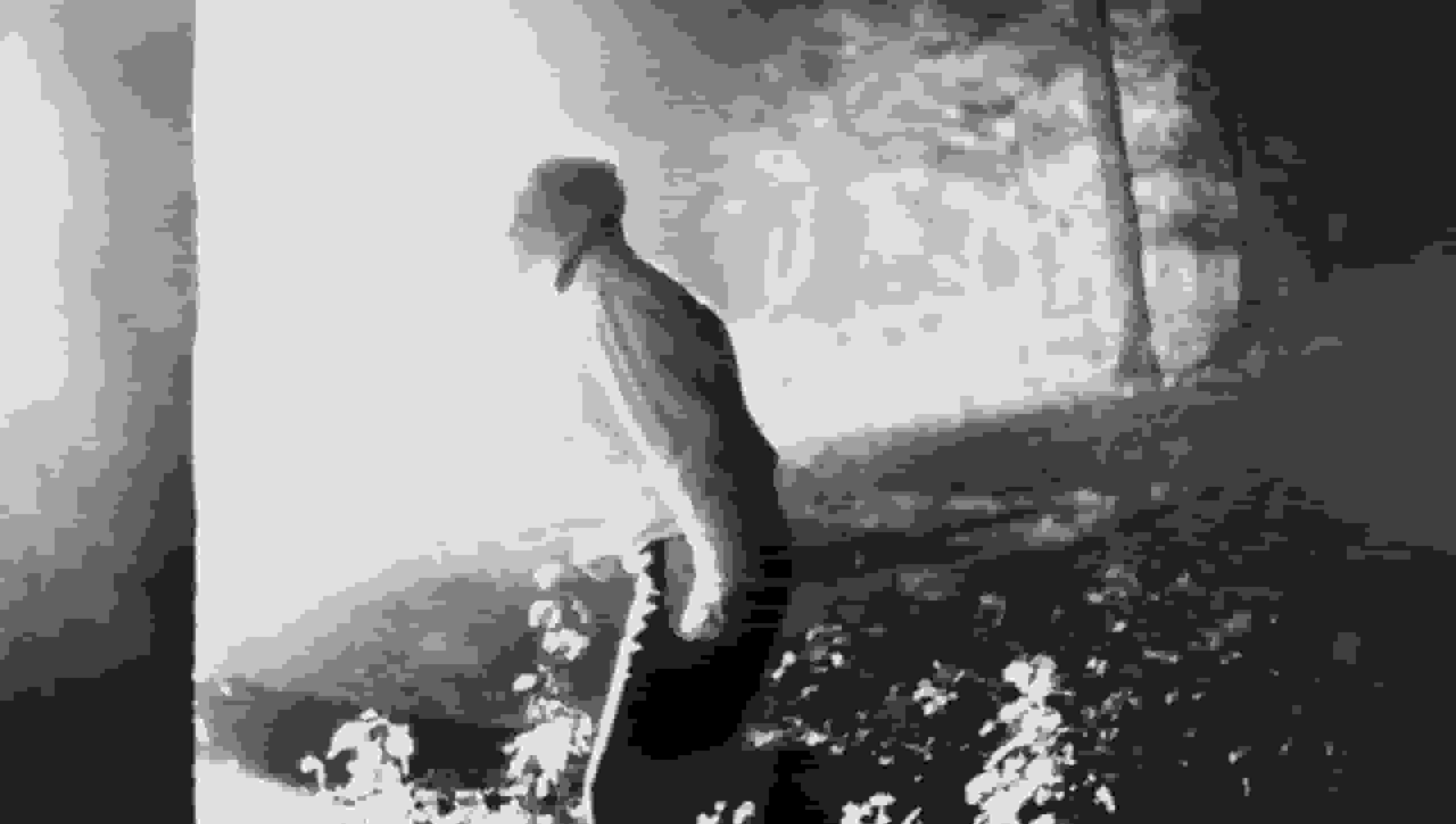 اسکای حق پخش سریال پیش‌درآمد Friday the 13th با عنوان Crystal Lake را خریداری کرد