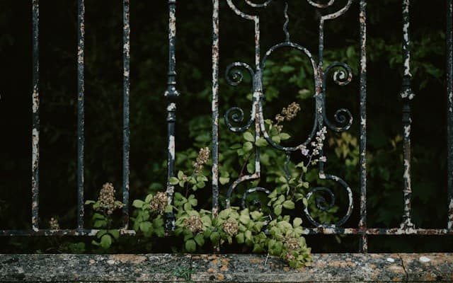 محافظت از حریم خصوصی در هوش مصنوعی: راهکارهای ایمنسازی ورودی‌ها و خروجی‌های مدل‌های زبانی