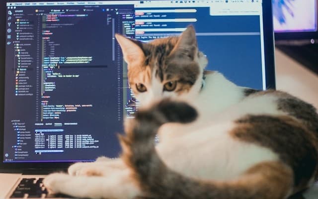 ساخت یک اپلیکیشن Full Stack تنها با استفاده از Vibe Coding: اینجا اتفاق افتاد