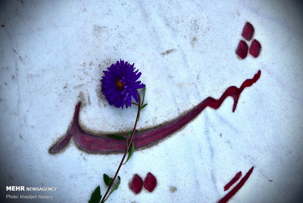 جهادگران فرهنگی جهاددانشگاهی با شهدای گمنام تجدید میثاق کردند