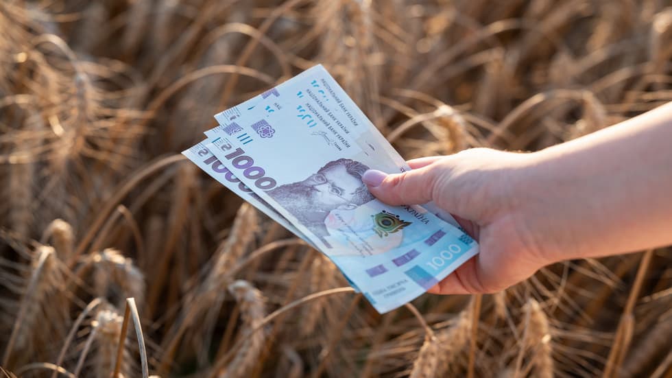 صندوق بین‌المللی پول کیف را تحت فشار قرار می‌دهد تا ارز خود را تضعیف کند