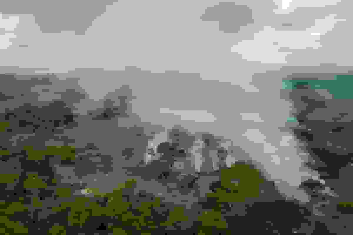 برزیل کاهش ۱۱.۱ درصدی جنگلزدایی در آمازون را گزارش کرد