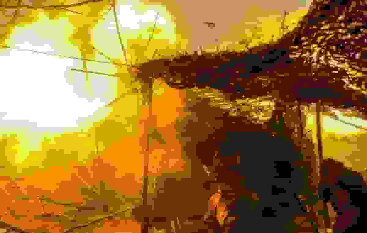 ارتش روسیه دو منطقه در خارکف و زاپوروژیه را آزاد کرد