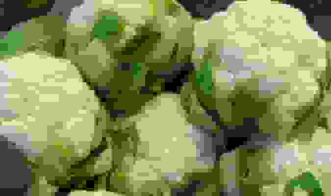 جشنواره گلکلم کهریزک؛ پیوند کشاورزی، گردشگری و هویت اقتصادی شهر