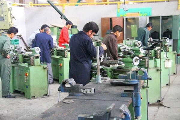 مرادنژادی: دانشگاه علمیکاربردی باید برای تربیت نیروی متخصص تلاش کند