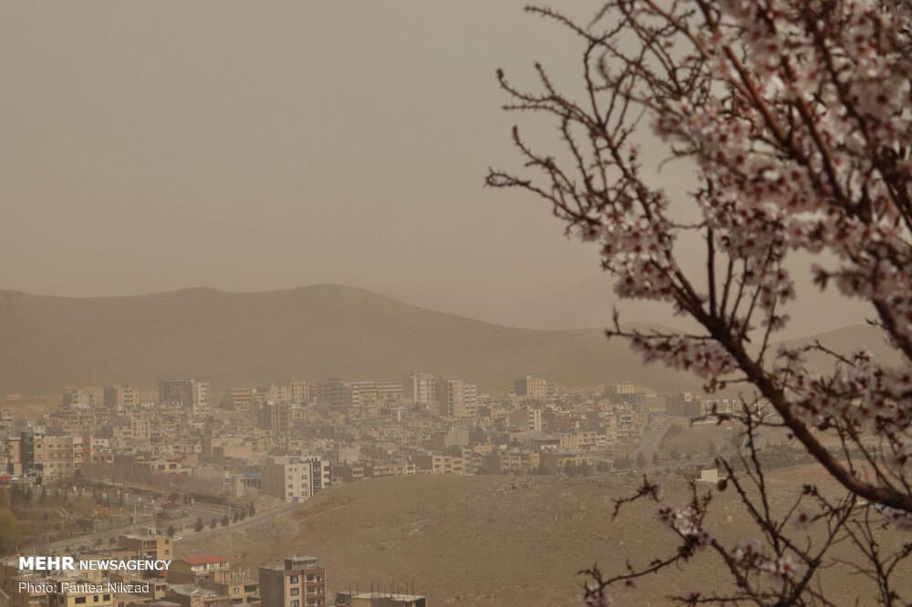 حسن زاده: منشا ریزگردهای تبریز، فرا مرزی است