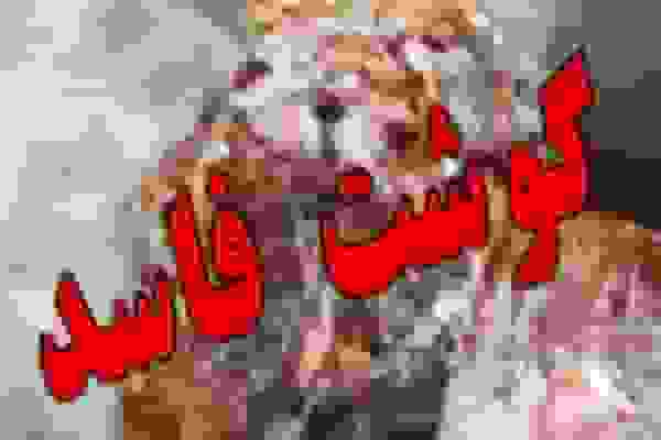 معدومسازی ۷۰ کیلوگرم فرآوردههای خام دامی فاسد در دماوند