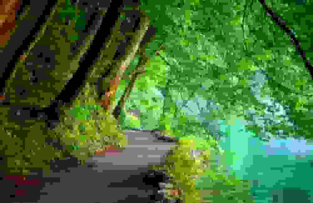 لذتهای بهشتی و تفاوت آن با لذتهای دنیوی از دیدگاه آیتالله مصباح یزدی