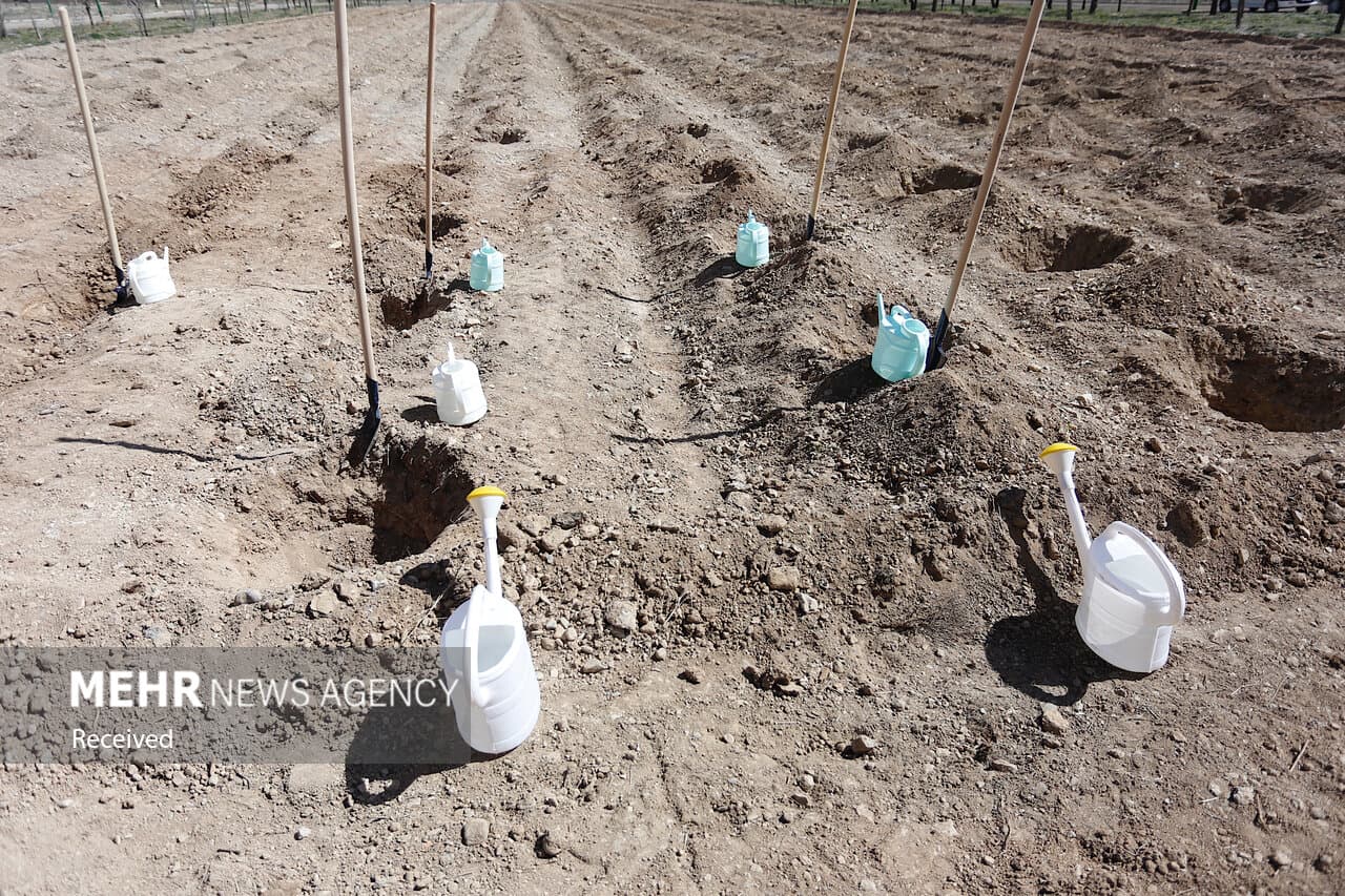 احداث ۵ هکتار فضای سبز بر محل دفن پسماند قدیم یزد