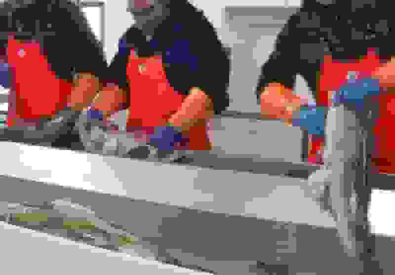 تولید بستهبندیهای ضدباکتری مواد غذایی با فناوری هستهای