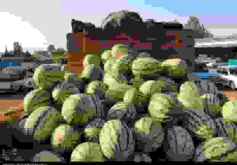 ممنوعیت واردات ۴۵ محصول کشاورزی به عراق و اقلیم کردستان