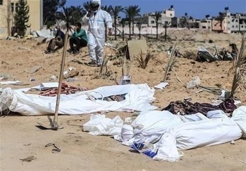 تکرار صحنههای وحشتناک حمله سگها به پیکرهای شهدا و خطر تعطیلی بانکهای خون در غزه