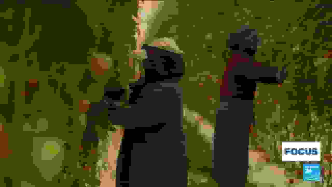 درون مزرعههای بزرگ تولید گوجهفرزان ارزان قیمت مراکش