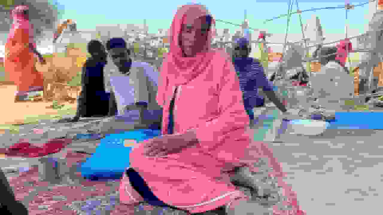 سودانیهای ناپدیدشده در الفاشر پس از تصرف شبهنظامیان در "خطر جدی" هستند