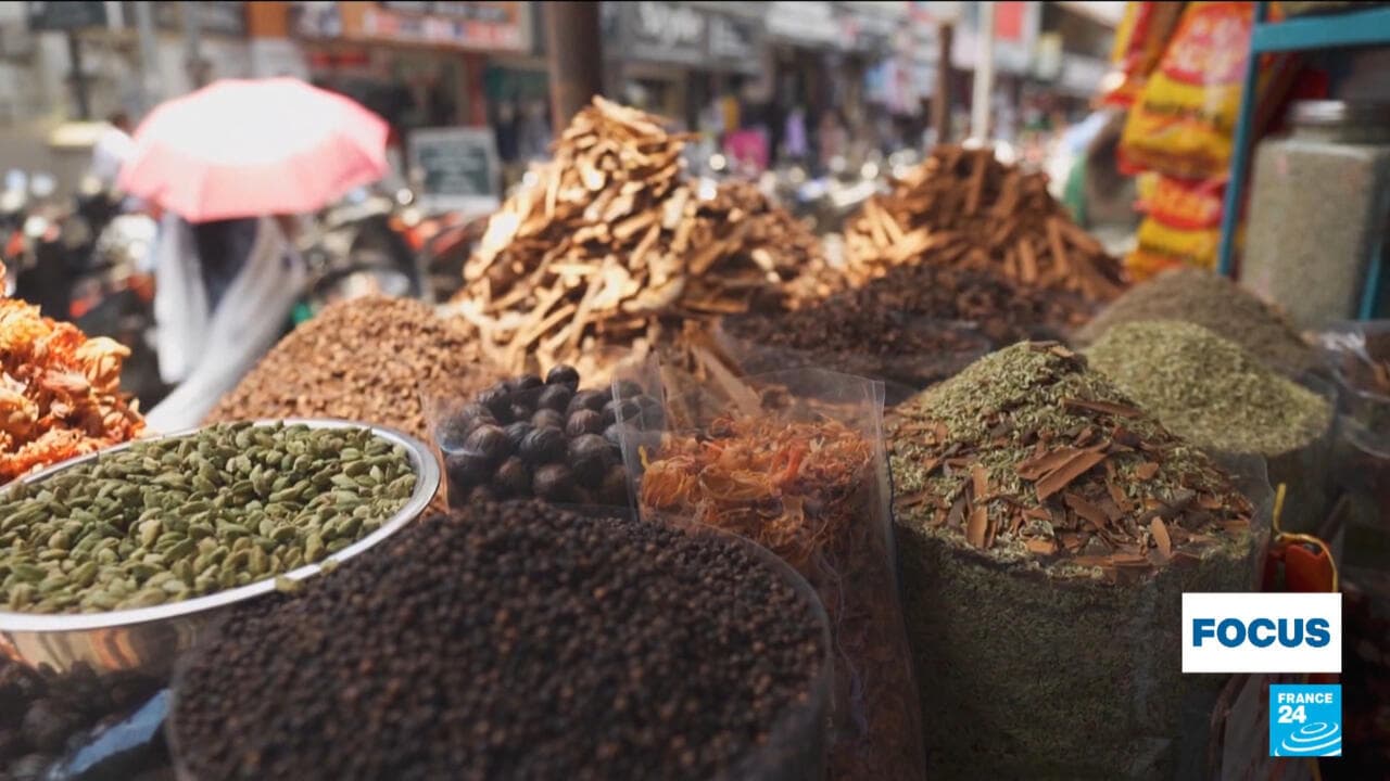 کشف مسیر ادویه هند: سفری هزارطعم از کرالا