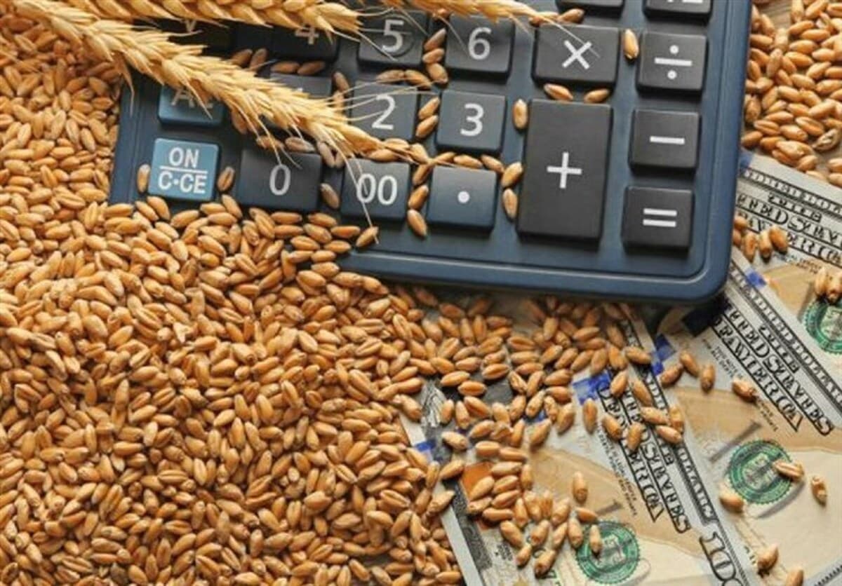 آغاز مجدد واردات گندم از کشورهای حاشیه دریای خزر با ورود نخستین محموله