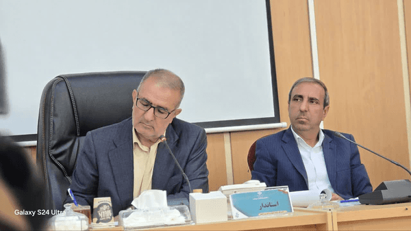 حرکت اقتصاد کهگیلویه و بویراحمد به سمت همافزایی و نوآوری