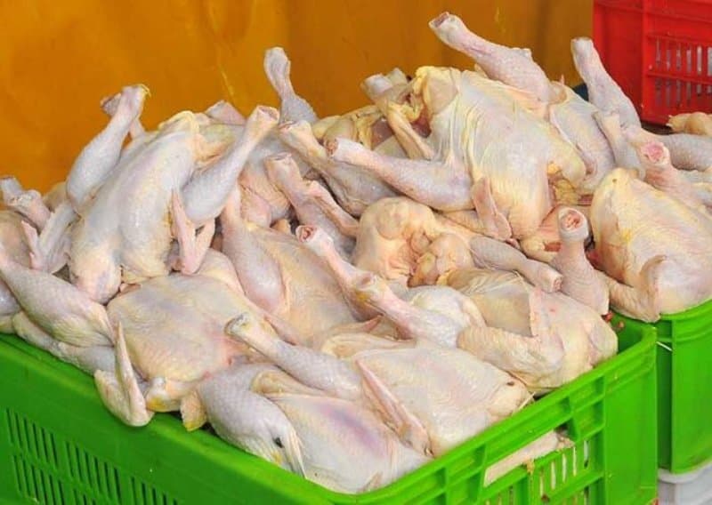 ممنوعیت خروج بیضابطه مرغ از استان گلستان