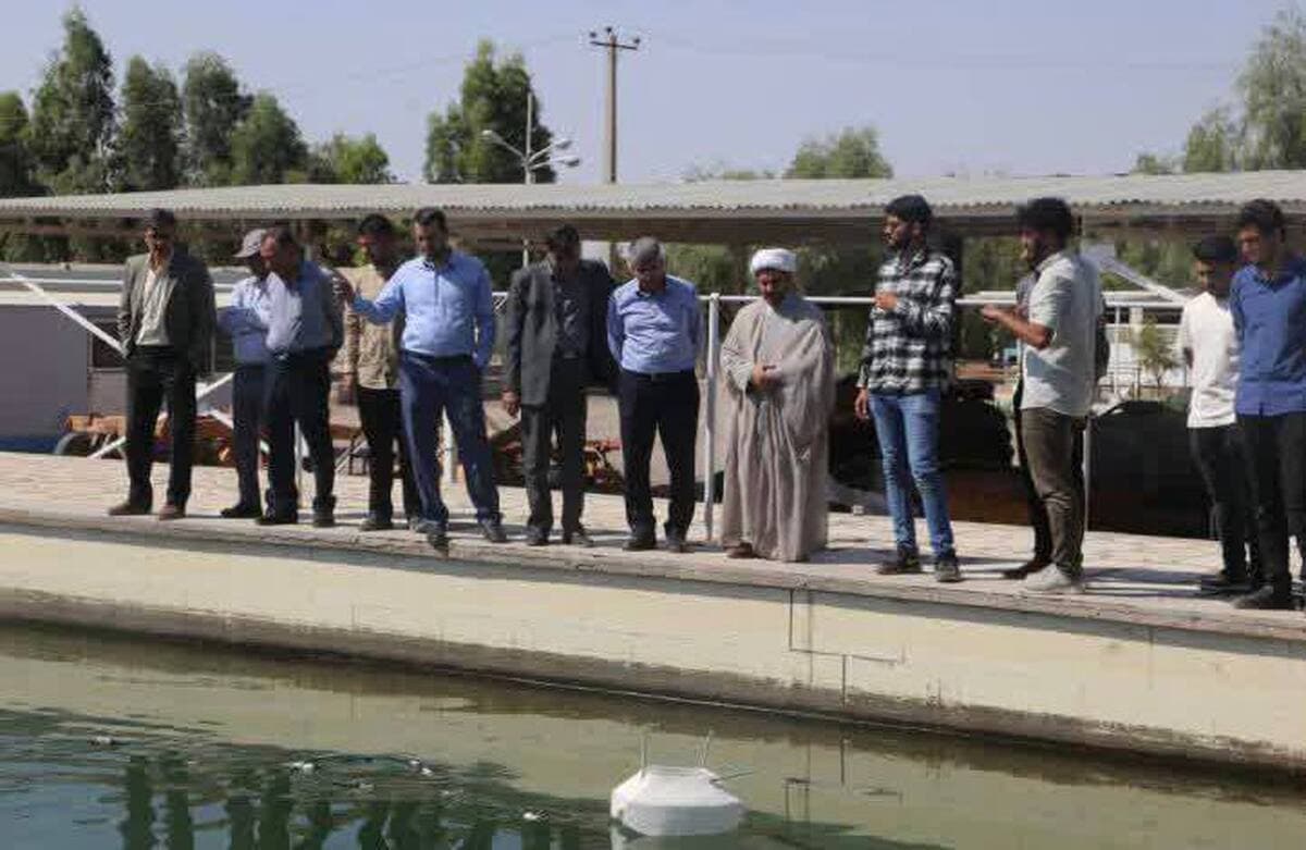 درخشش تیمهای دانشگاه ولیعصر(عج) رفسنجان در رویداد ملی رباتیک جام آبی یزد