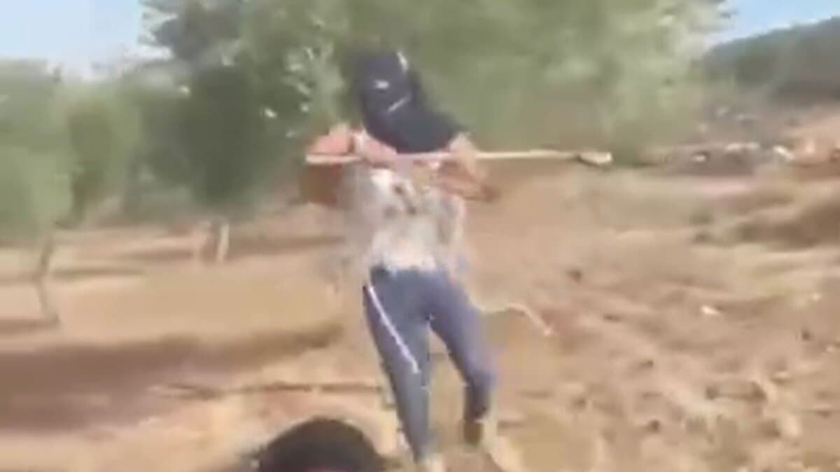 حمله شهرکنشین صهیونیست به زن فلسطینی در روستای الغیر