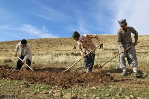 عزم مشترک مرتعداران و منابع طبیعی گچساران برای احیای پوشش گیاهی