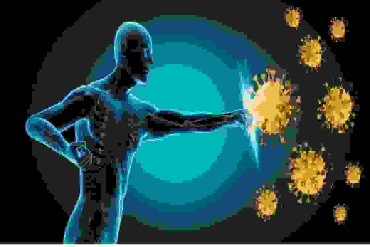 تقویت سیستم ایمنی با زنجبیل: بمب طبیعی سلامتی