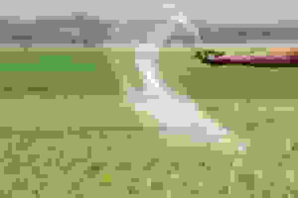 توزیع ۵ هزار تُن کود در دزفول و آغاز کشت چغندرقند