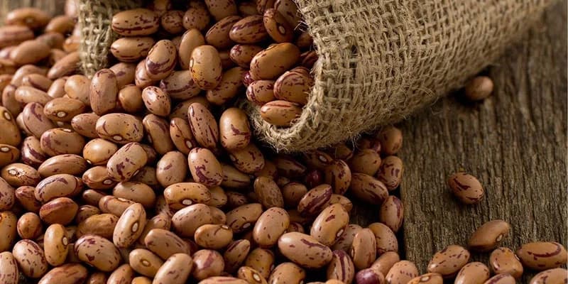 قیمت لوبیا چیتی از گوشت مرغ گرانتر شد