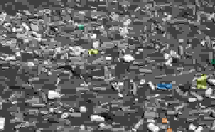 هشدار استاد دانشگاه درباره ریزپلاستیکها؛ تهدیدی جدی برای سلامت انسان