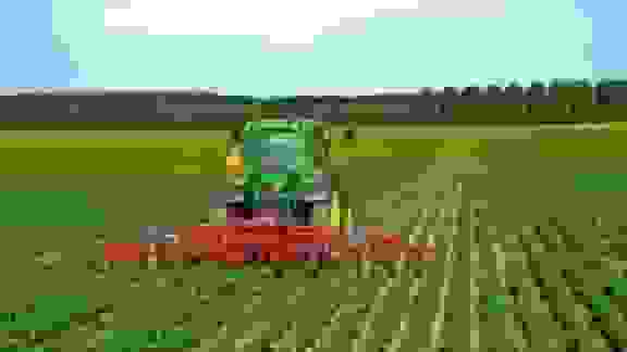 برنامهریزی برای کشت ۲۲ هزار هکتار غلات در گچساران