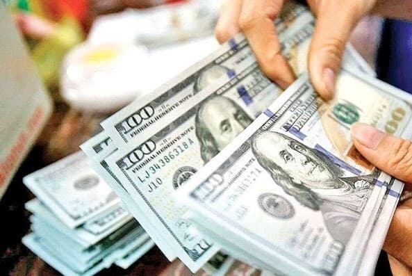 اختلال در سامانه ارز مسافرتی پس از افزایش قیمت