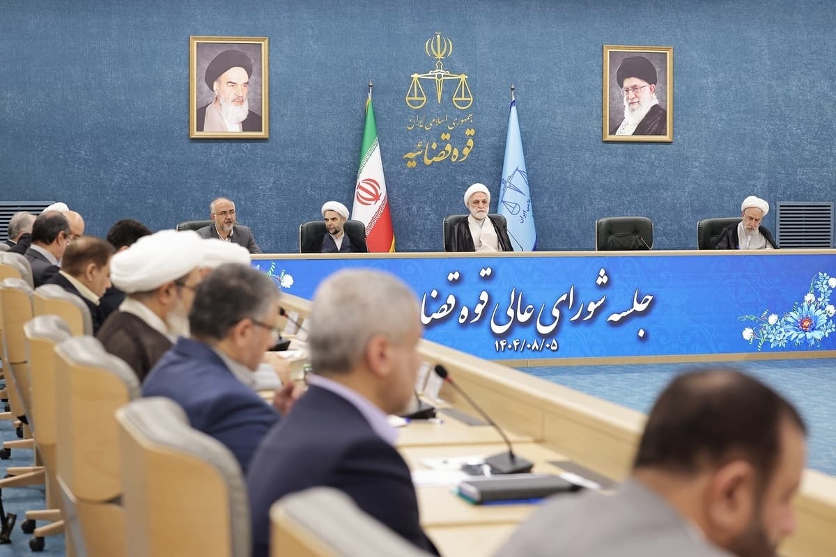 محسنی اژهای: ترکیب سپردهگذاران بانک آینده غیرعادی و نیازمند بررسی دقیق است