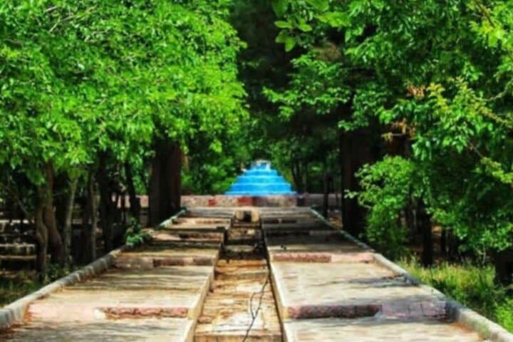 اعلام قیمت انواع گوشت مرغ تازه و بستهبندی شده