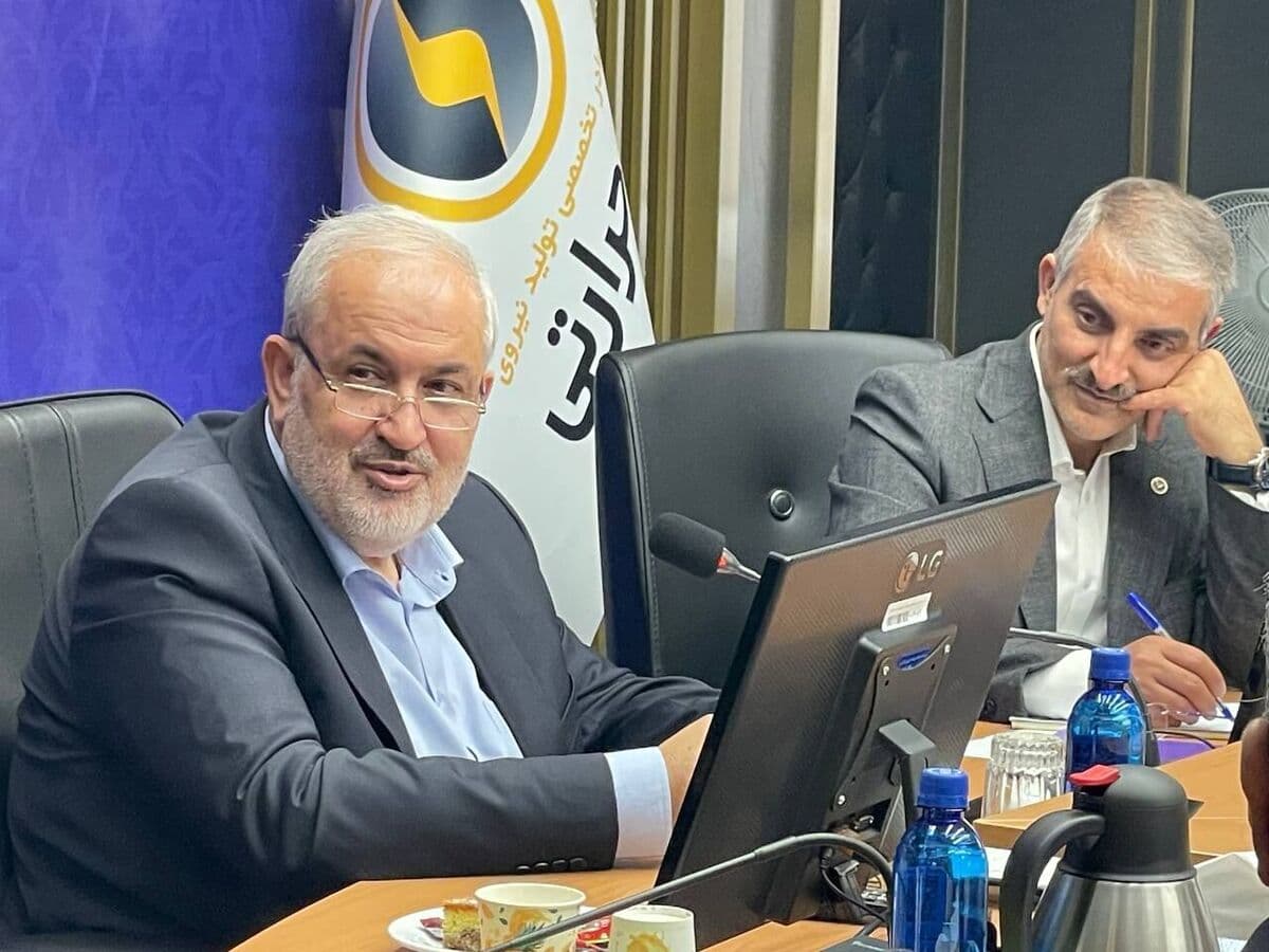 سرپرست جدید شرکت مادرتخصصی برق حرارتی منصوب شد