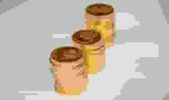 تحویل سکههای پیشفروش از شعب منتخب