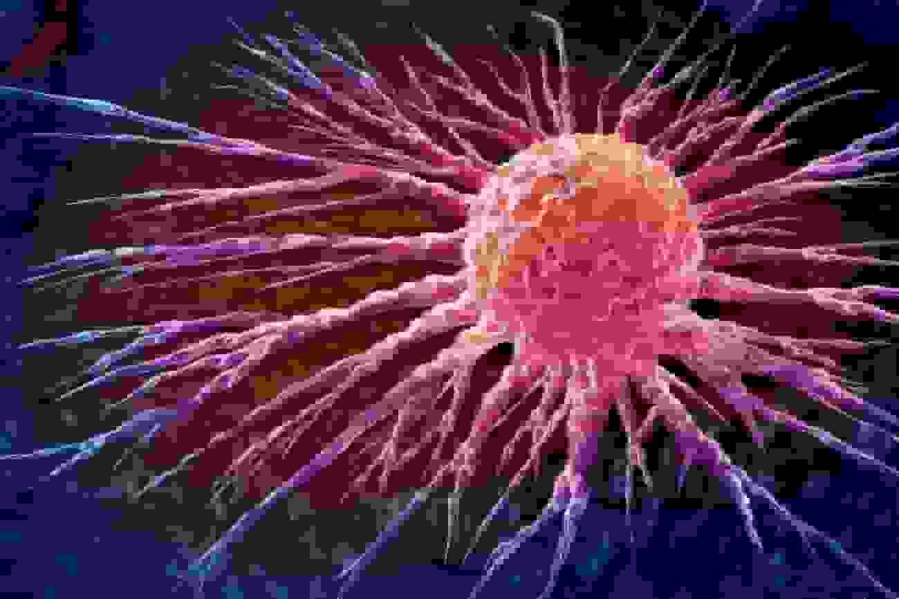 دستاورد بزرگ دانشمندان: بهبود ۲۰ هزار برابری داروی شیمیدرمانی در کشتن سلولهای سرطانی