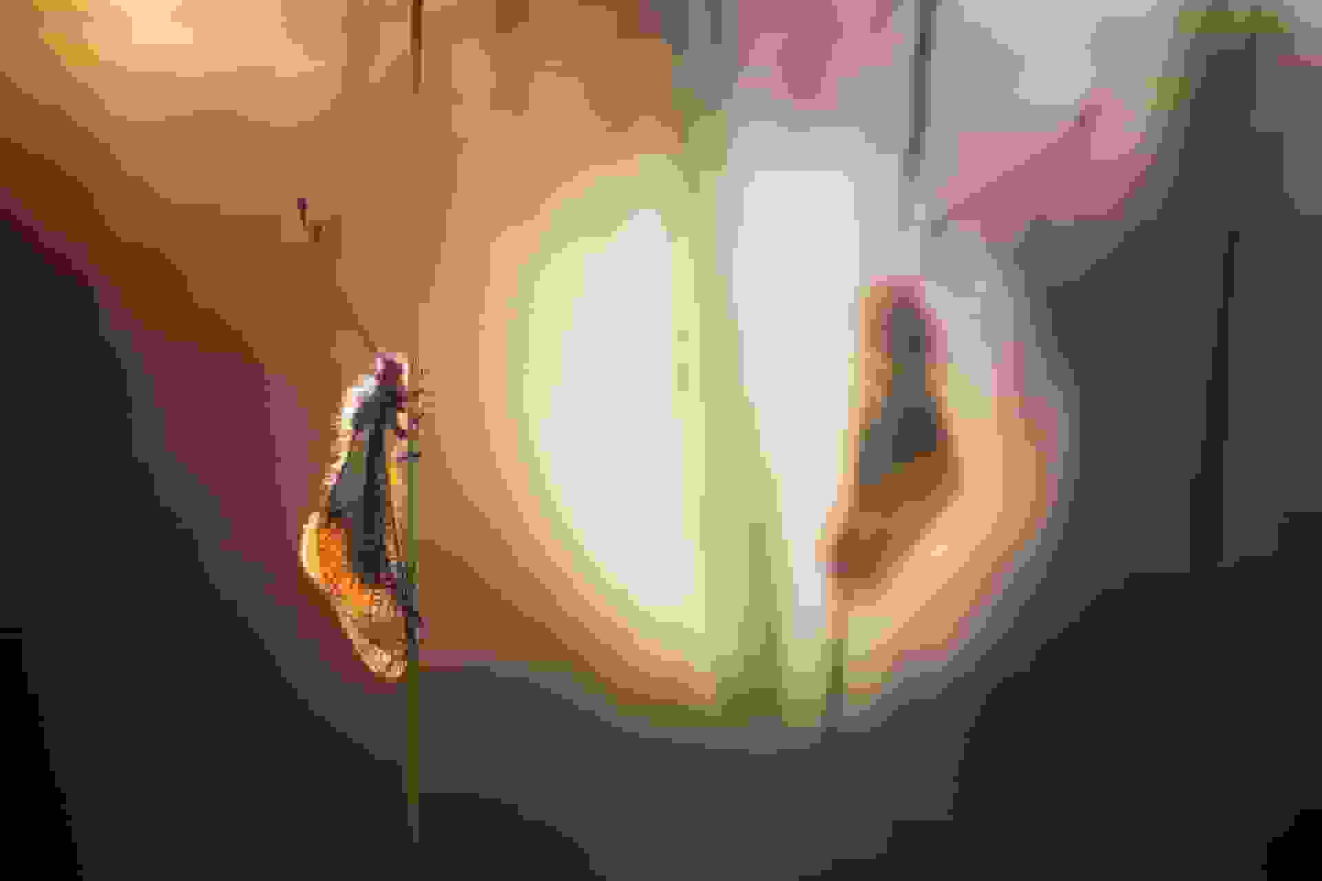 برندههای مسابقه عکاسی ماکرو از نزدیک از شگفتیهای کوچک و جزئیات ظاهر تجلیل کردند